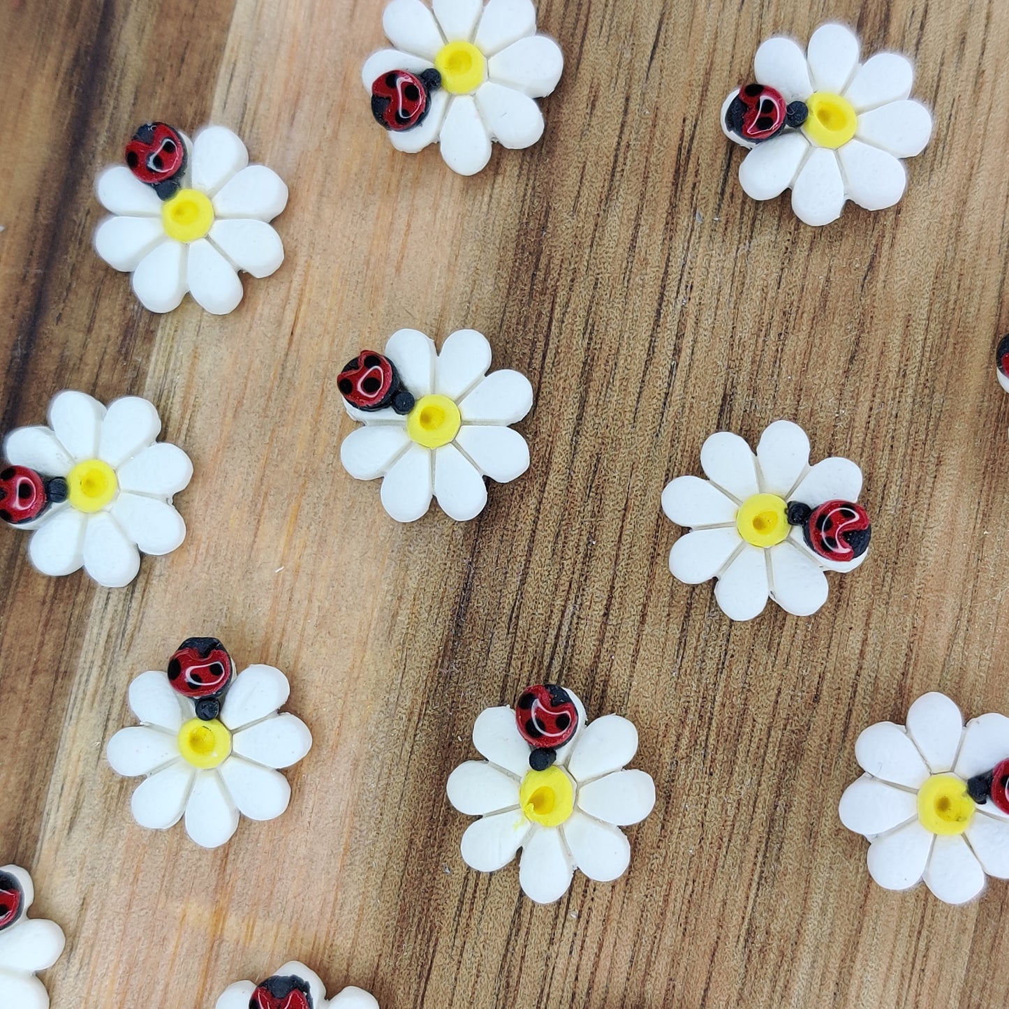 Ladybug Daisy Studs