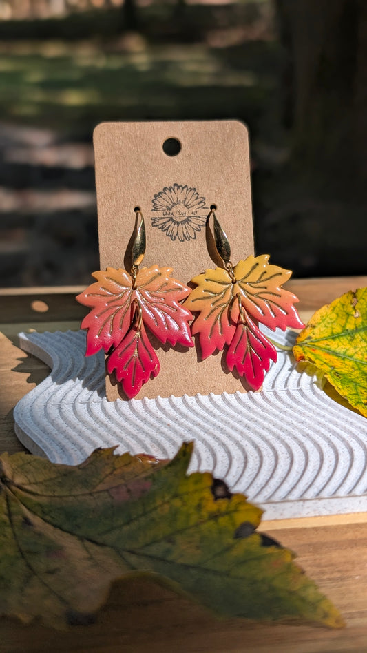 Golden Maple